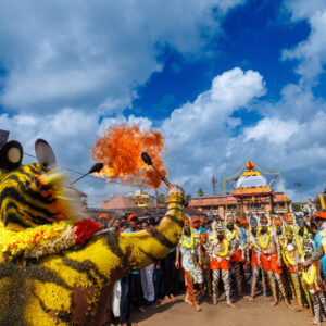 Vitlapindi Rathotsava